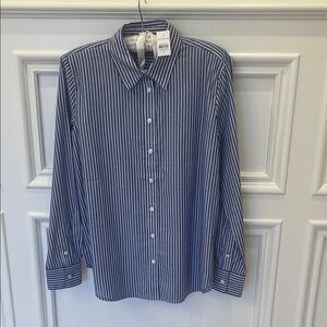 Blue Striped Ann Taylor Shirt